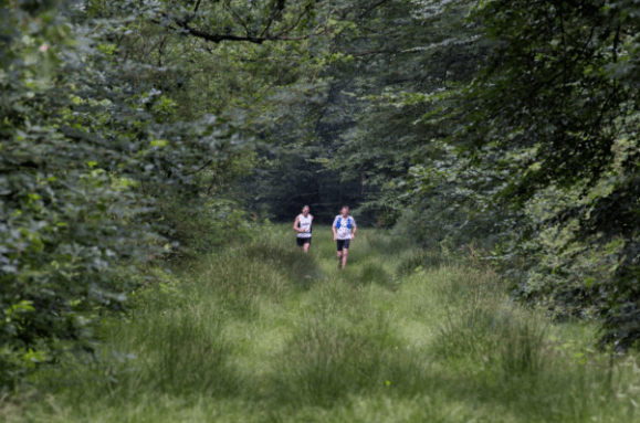 Screen Shot 2018-07-02 at 10.25.43 AM.png