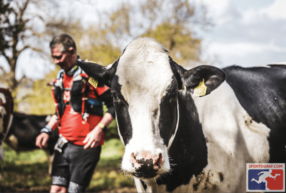 Screenshot 2019-05-06 at 10.19.02 AM.png