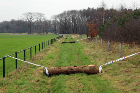 Screenshot 2020-01-13 at 7.41.44 AM.png